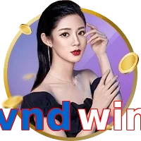 vndwin