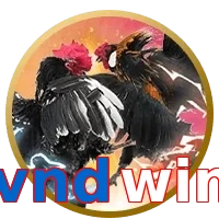 vndwin